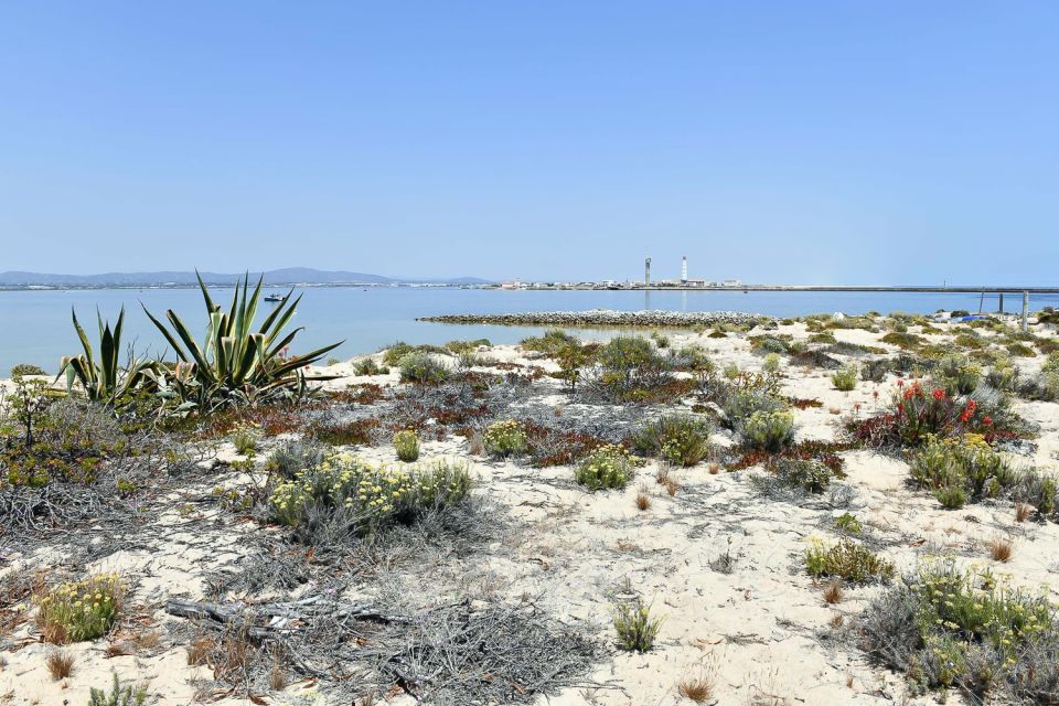 Ria Formosa: Sightseeing Boat Tour From Olhão - Tips for a Memorable Experience