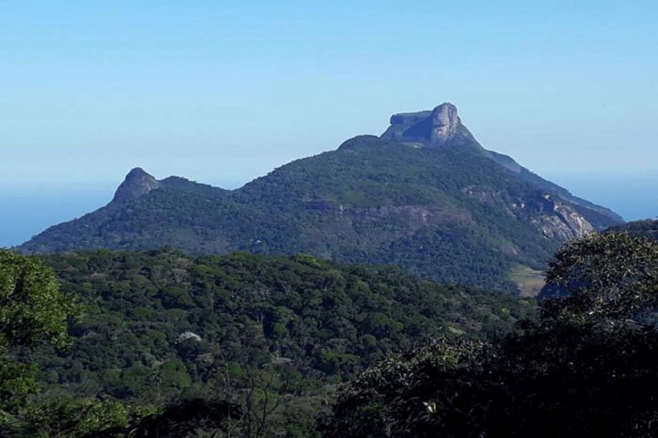 Rio De Janeiro: Tijuca National Park Ecotour - Language and Tour Guide Information