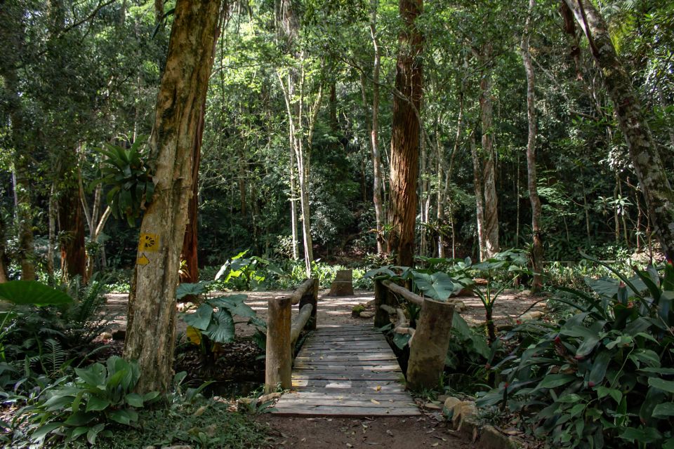 Rio: Half-Day Jeep Tour at Floresta Da Tijuca - Guide Information