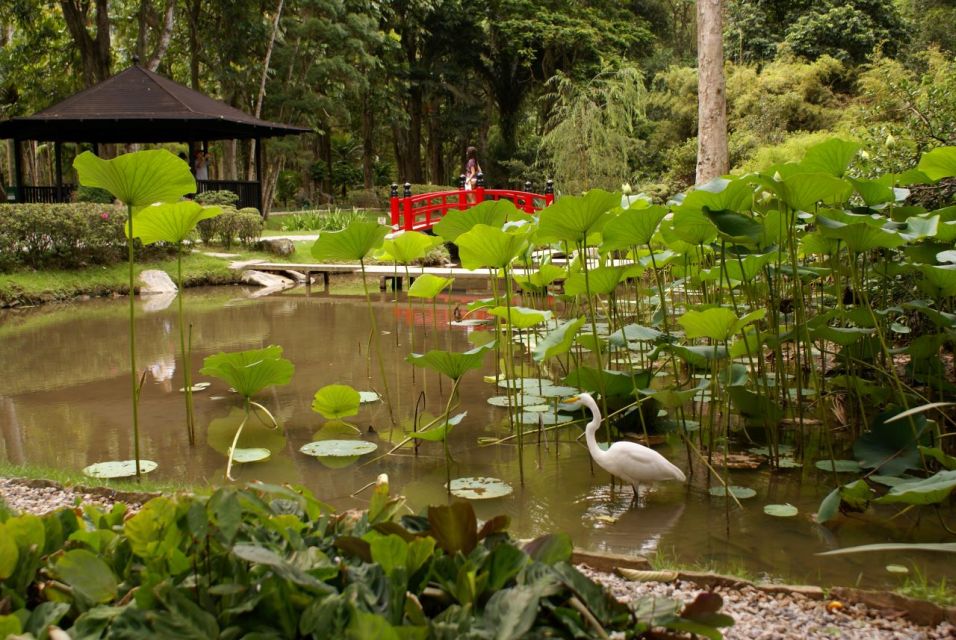 Rio: Jeep Tour to Botanical Garden and Tijuca Forest - Free Cancellation Policy