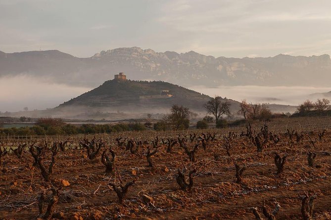 Rioja Alavesa Wineries and Medieval Villages Day Trip - Souvenirs and Local Crafts
