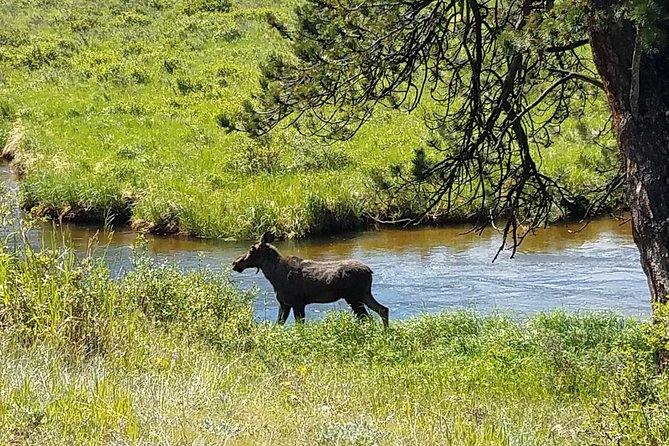 Rocky Mountain National Park in Summer Tour From Denver - Common questions