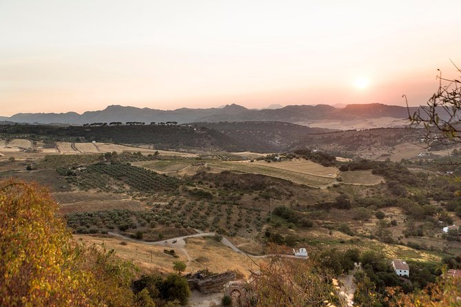 Ronda Village Guided Tour From Costa Del Sol - Common questions