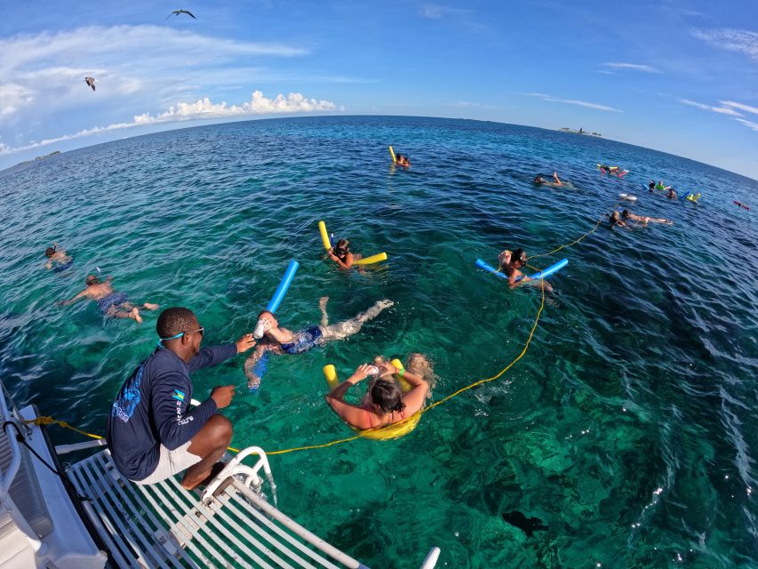 Rose Island: Swimming With Pigs, Snorkeling and Lunch - Common questions