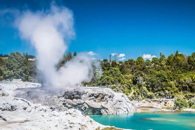 Rotorua Full Day Private Tour From Auckland - Common questions