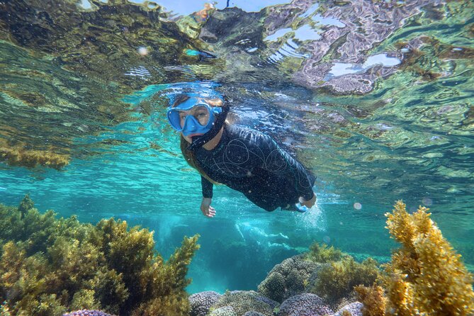 Rottnest Island Guided Snorkel Boat Experience - Last Words