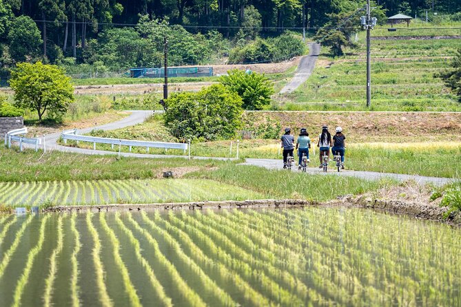 Rural Villages & Brewery Town: Private 1-Day Cycling Near Kyoto - Last Words