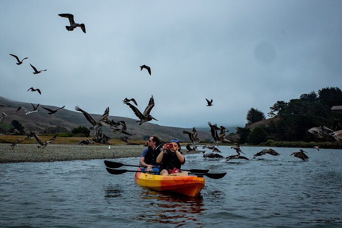Russian River Kayak Tour at the Beautiful Sonoma Coast - Last Words