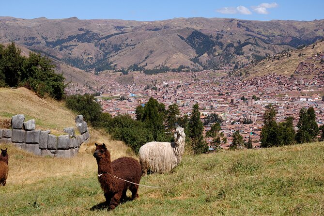 Sacsayhuaman Incas Temple, Tambomachay, Puca Pucara & Qenqo Half-Day Tour - Tour Logistics Overview