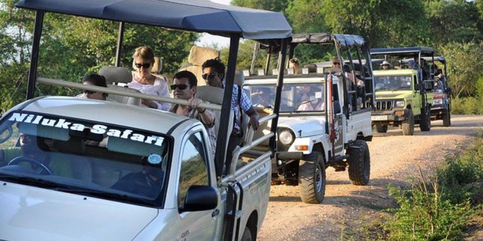 Safari Adventure:Udawalawe National Park Half-Day Expedition - Additional Important Details