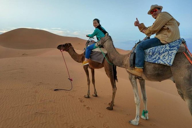 Sahara Desert Trip - 2 Night 3 Days - Fes to Marrakech or Marrakech to Fes - Customer Testimonials