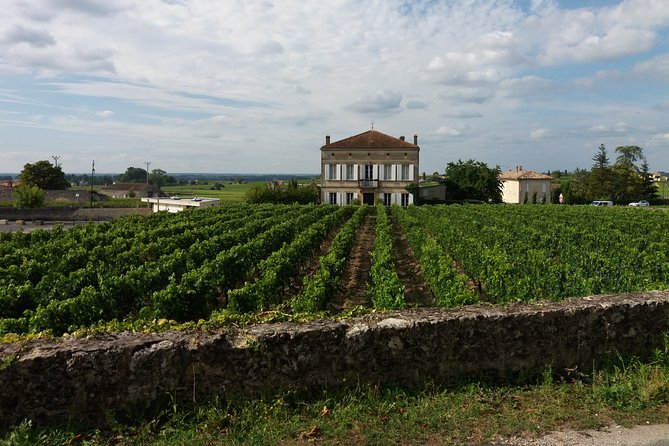 Saint Emilion Wine Tour Half Day - Last Words