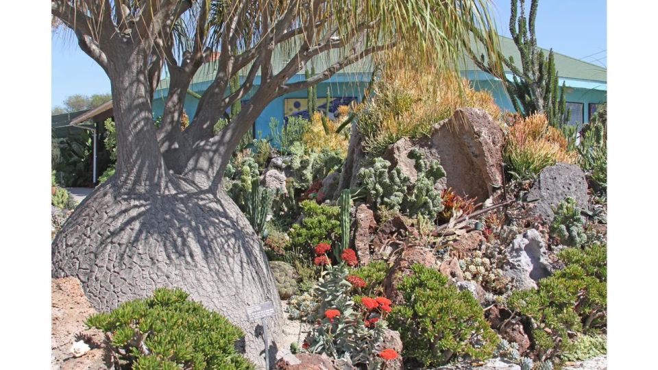 San Diego Botanical Garden Entry Ticket and Transportation - Common questions