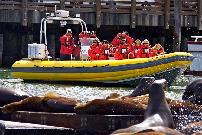 San Francisco Bay Adventure Boat Sightseeing - Last Words