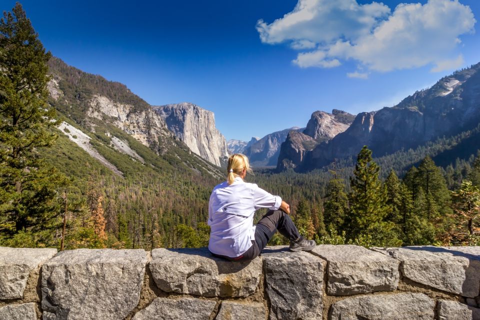 San Francisco To/From Yosemite National Park: 1-Way Transfer - Experience Highlights and Route