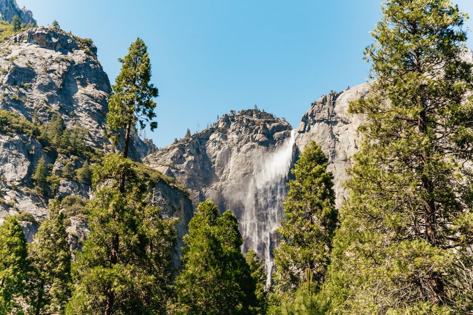 San Francisco: Yosemite National Park & Giant Sequoias Hike - Booking Information