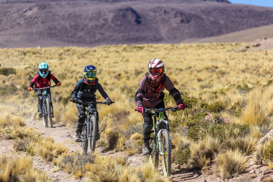 San Pedro De Atacama: Volcano Downhill Bike Tour - Last Words