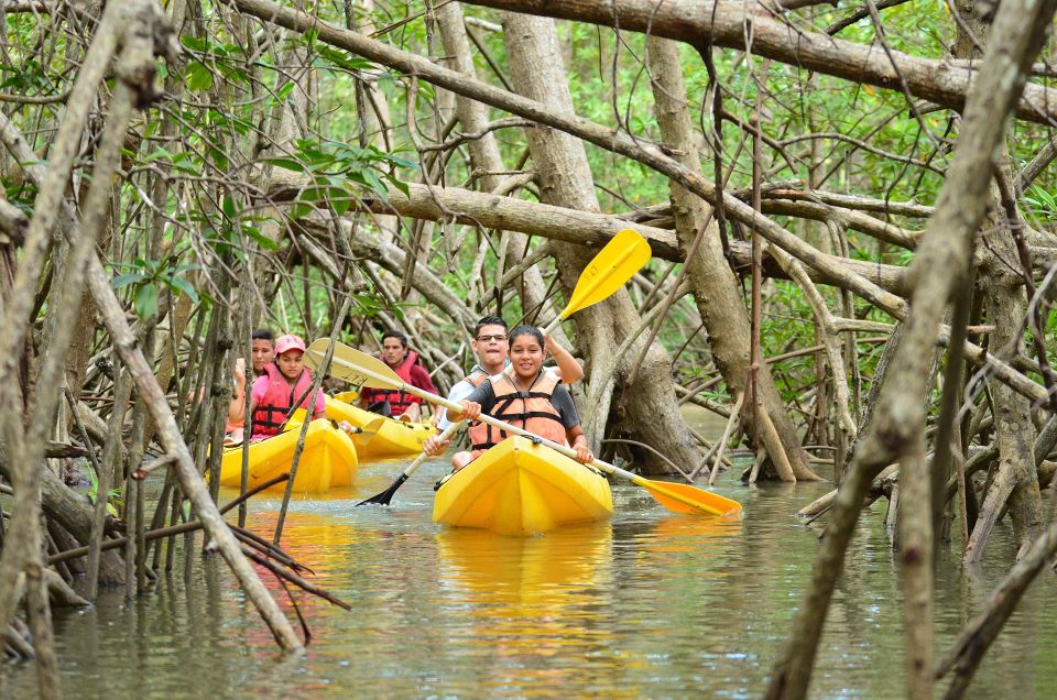 Santo Domingo: Los Haitises Guided Hike and Kayaking - Last Words