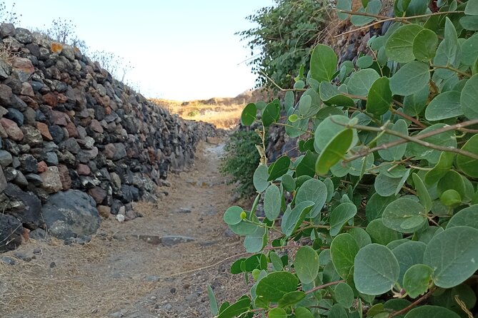 Santorini: Private Agri-Educational Visit to an Organic Farm - Common questions