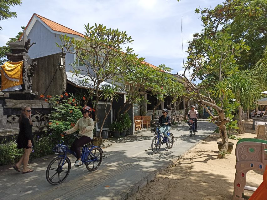 Sanur Village & Turtle Sanctuary E-Bike Tour - Last Words