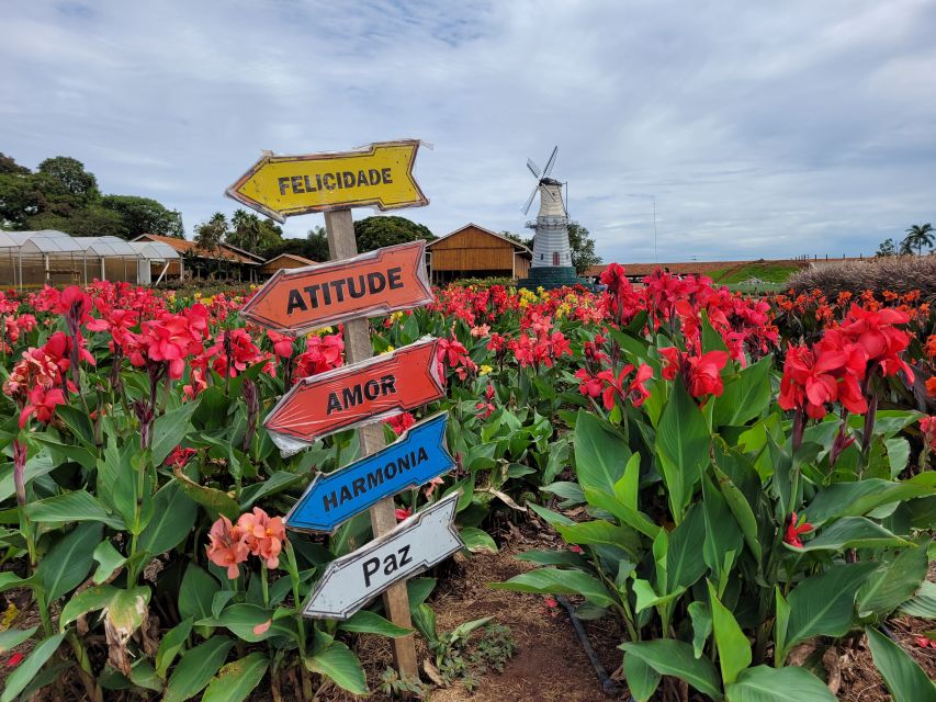 São Paulo: Holambra Colorful Flower Farm Guided Day Trip - Additional Tips