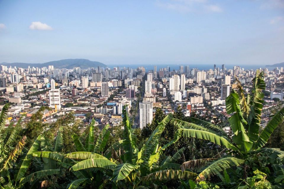 São Paulo: Santos Full-Day Tour With Museum Tickets & Lunch - Location and Activity Information
