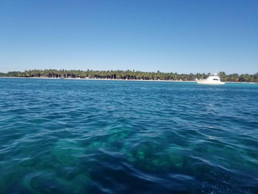 Saona Island Day Trip Lobsters Included - Transportation Options