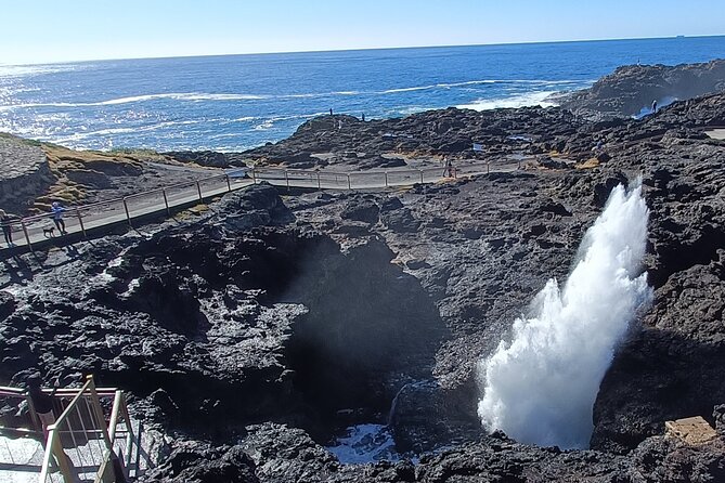 Sea Cliff Bridge, Blowhole, Beaches & Farmlands- Escape the City - Last Words