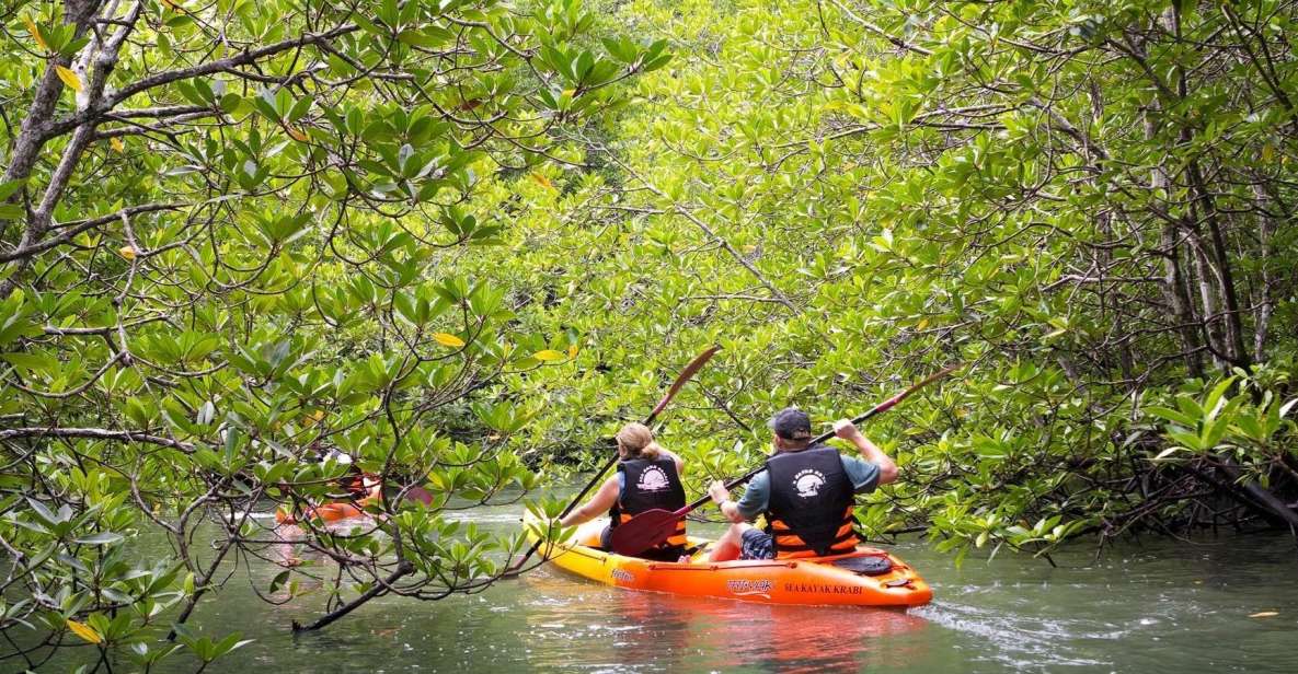 Sea Kayaking in Ao Thalane & Optional Full-Day Hong Island - Last Words