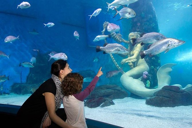 SEA LIFE Melbourne Aquarium Admission Ticket - Additional Information and Contact Details