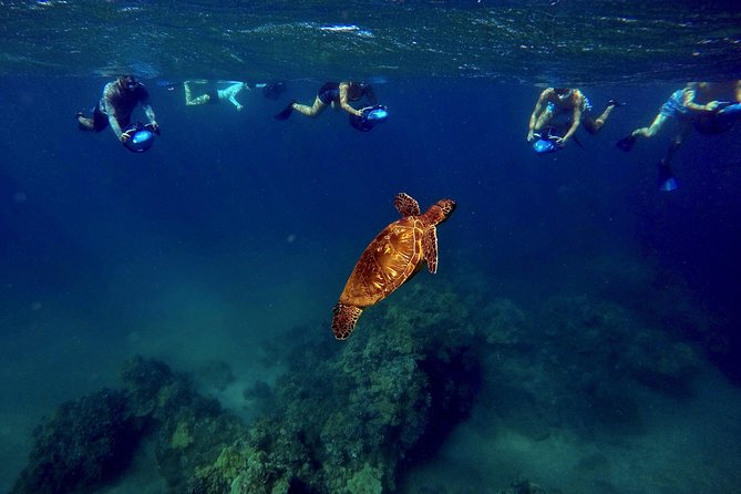 Sea Scooter Snorkeling Tour - Wailea Beach - Booking Information