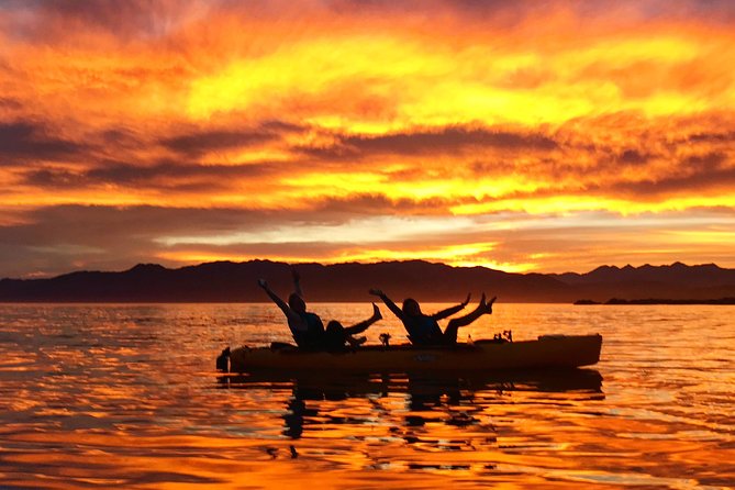 Seal Kayaking Adventure in Kaikoura - Common questions