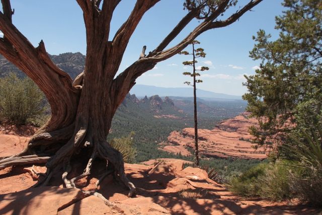 Sedona: 2-Hour Colorado Plateau Scenic Tour - Tour Route Details