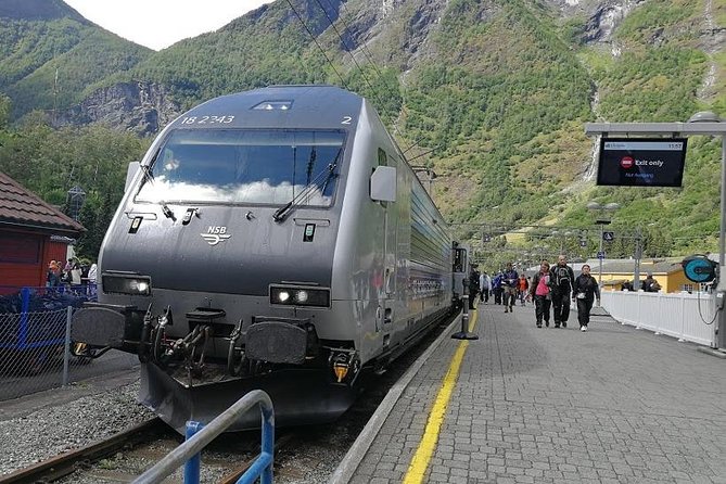 Self-Guided Day Tour - Premium Nærøyfjord Cruise & Flåm Railway - Last Words