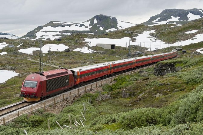Self-Guided Day Tour - Premium Nærøyfjord Cruise & Flåm Railway - Common questions