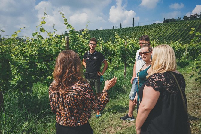 Semi-Private Prosecco Wine Tour From Venice - Logistics and Practical Information