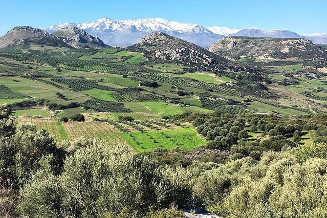 Semi Private Wine and Olive Oil Tour (Transfer & Lunch Incl.) - Frequently Asked Questions