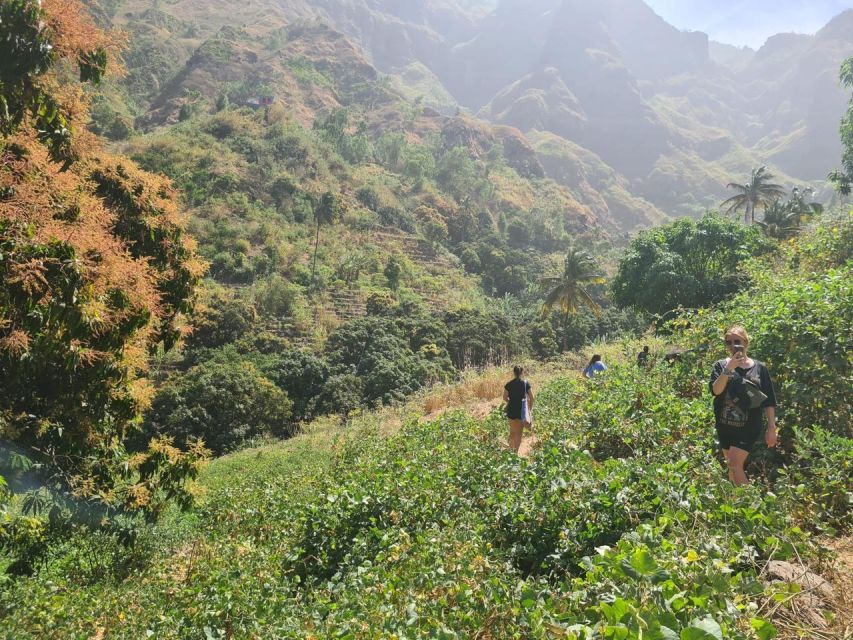 Serra Malagueta-Ribeira Principal: Hiking in a Unique Place - Serra Da Malagueta Highlights