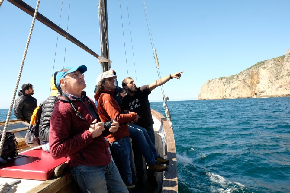 Sesimbra: Cliffs, Bays & Beaches Aboard a Traditional Boat - Recommendations and Precautions