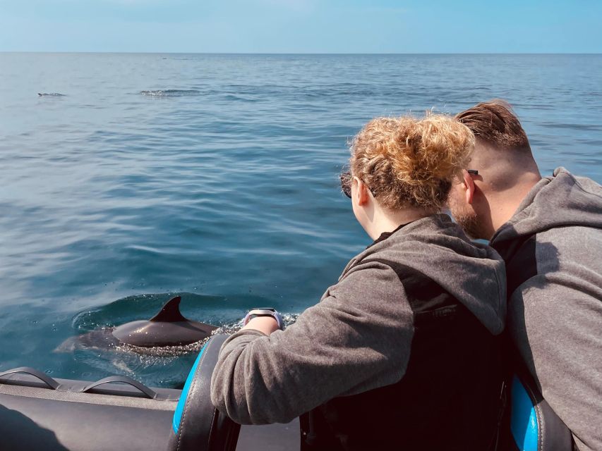 Sesimbra:Private Dolphin Watching Tour Arrábida Natural Park - Tour Highlights