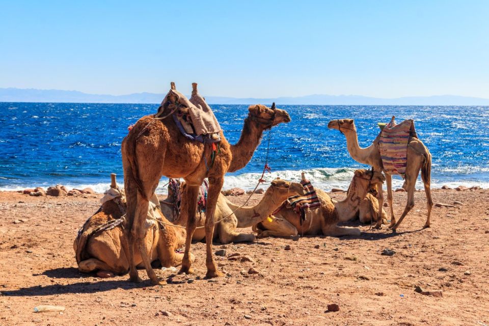 Sharm: 2-Days Dahab, Canyon, Safari, Snorkel W Camp Stay - Directions
