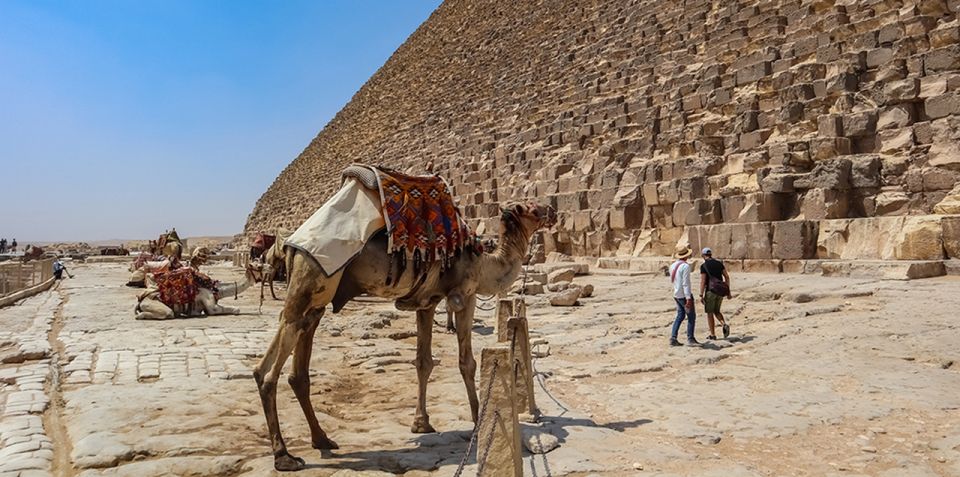 Sharm El Sheikh: Cairo Day Tour by Bus With Guide & Lunch - Transportation Details
