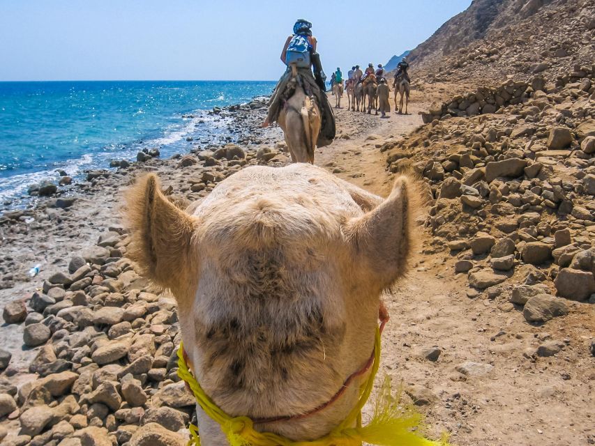 Sharm El Sheikh: Dahab, Canyon, Camel, and Snorkel Jeep Tour - Common questions