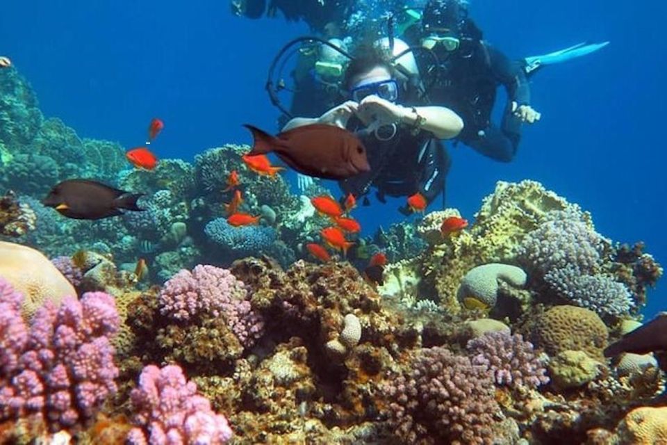Sharm El-Sheikh: Scuba Dive Introduction From the Shore - Common questions