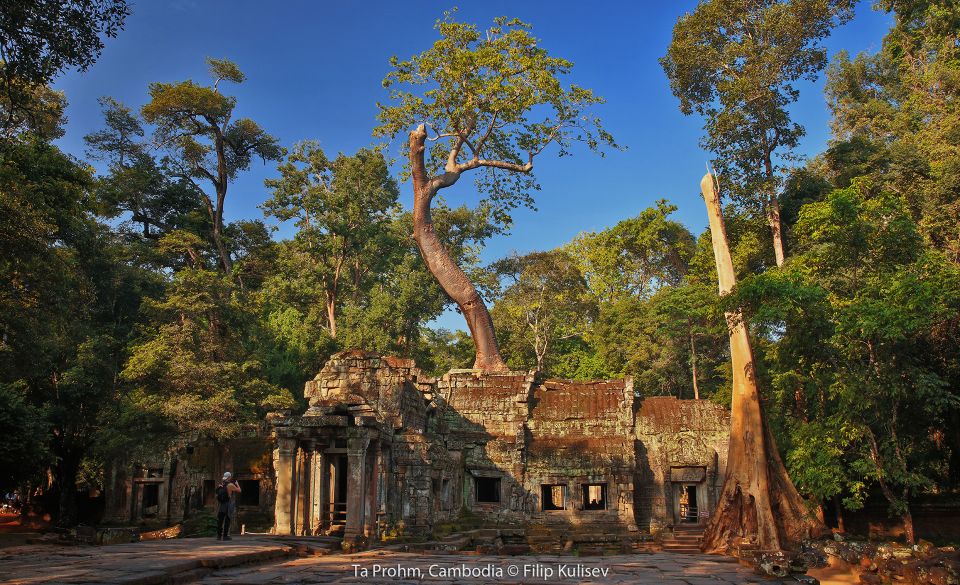 Siem Reap: Angkor Wat 5-Day Sightseeing Tour - Common questions