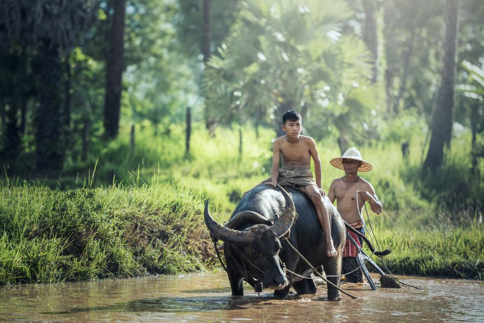 Siem Reap: Countryside Bike Tour With Guide and Local Snacks - Last Words