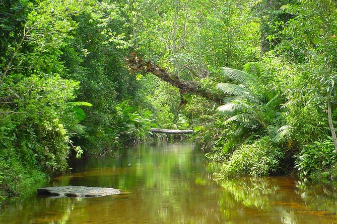 Siem Reap: Kulen Waterfall and 1000 Lingas River Private Tour - Last Words