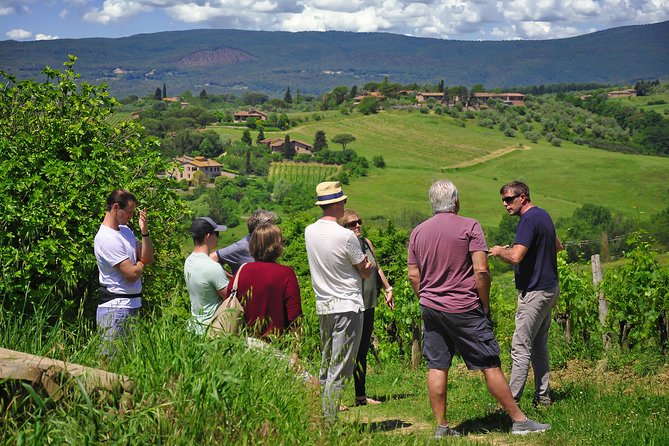 Siena: A Wine Tour and Tasting Experience - Common questions