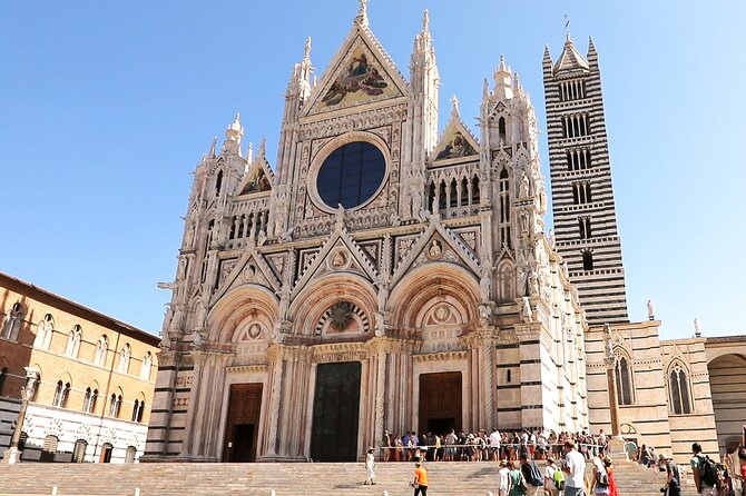 Siena San Gimignano Pisa Escorted Transport and Optional Lunch - Lunch Option and Sightseeing