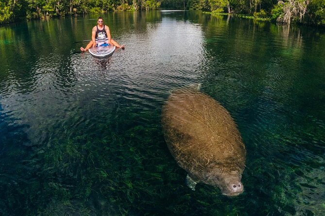 Silver Springs: Clear Kayak Wildlife Adventure - Last Words